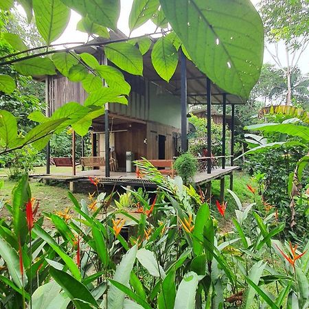 Amazona Lodge Летисия Экстерьер фото