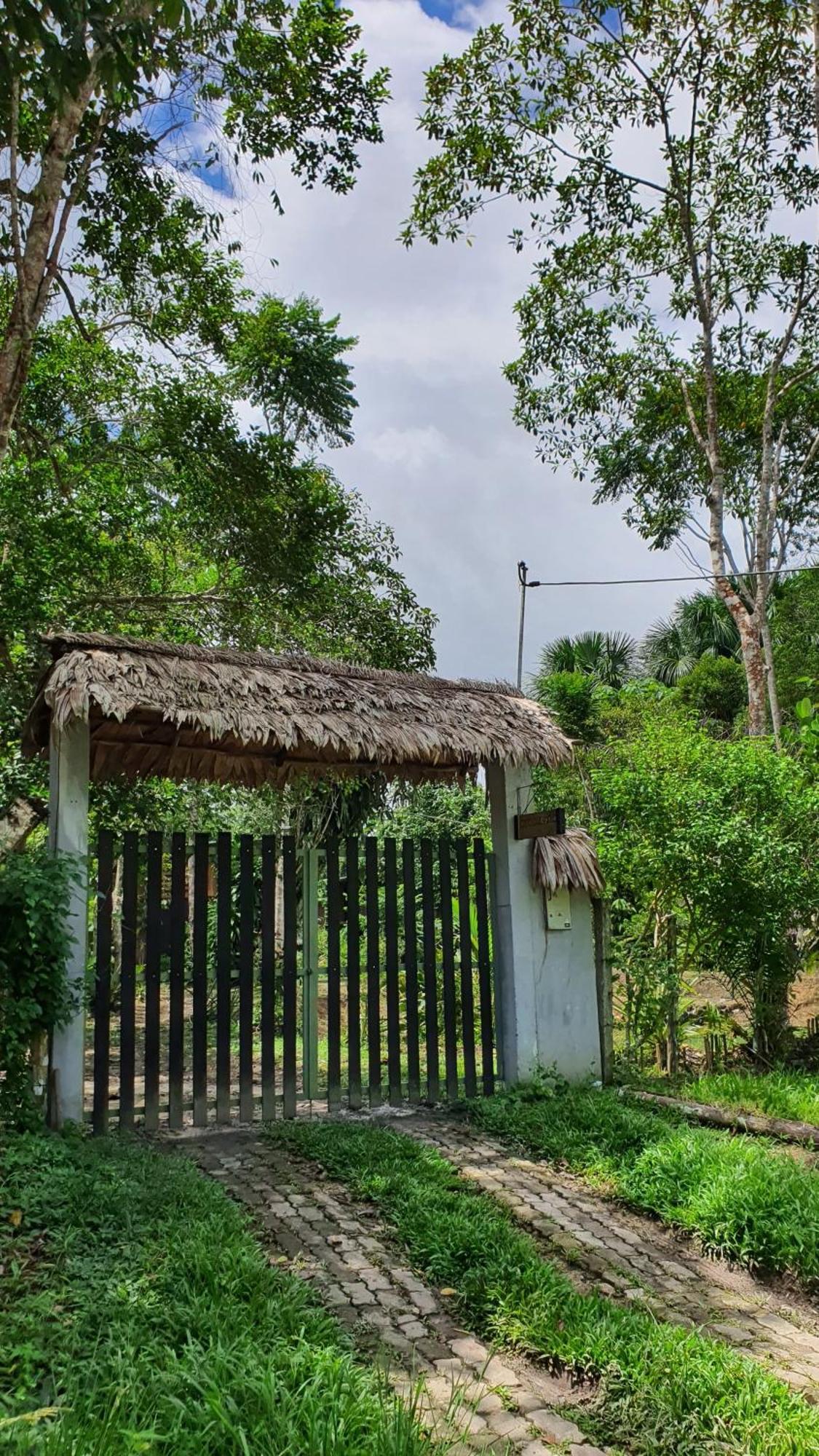 Amazona Lodge Летисия Экстерьер фото