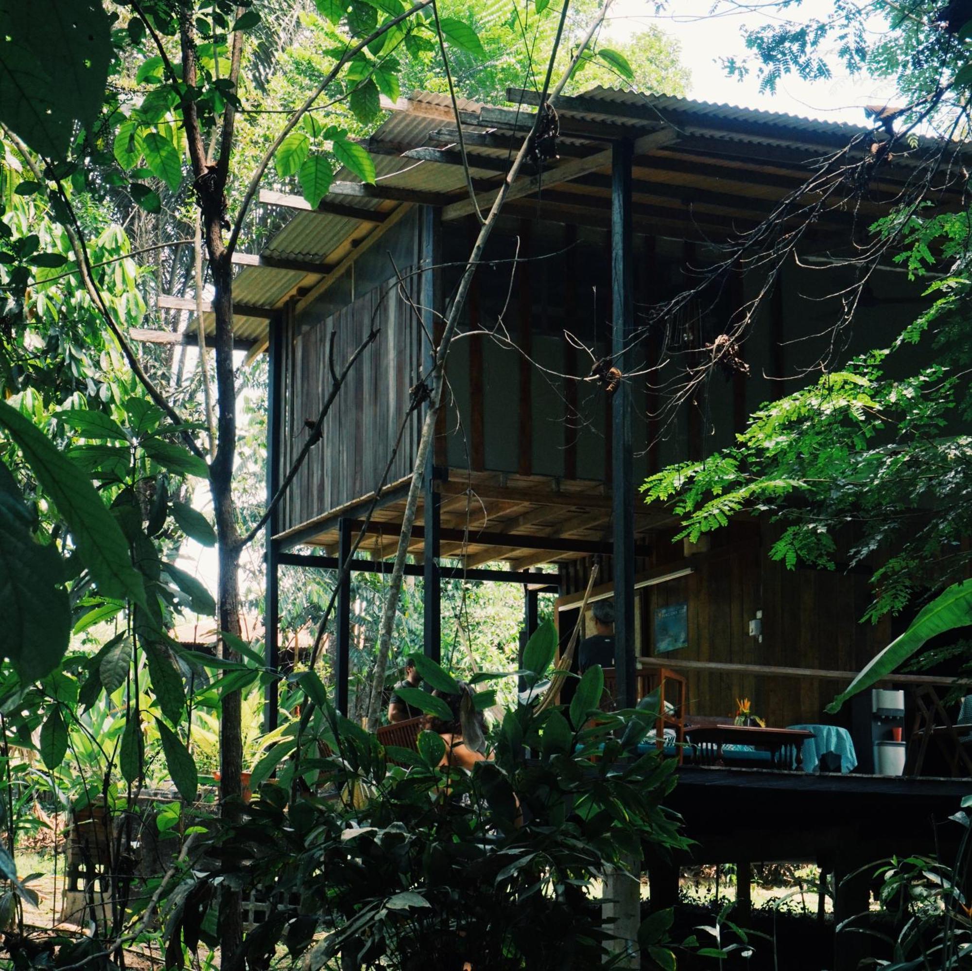 Amazona Lodge Летисия Экстерьер фото